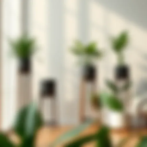Exploring the Versatility and Design of 3 Foot Tall Plant Stands Introduction