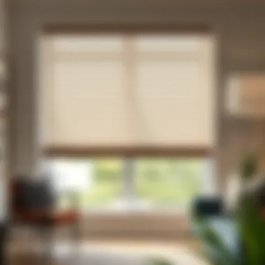 Notable Exploring the Versatility and Selection of 30 x 70 Window Blinds