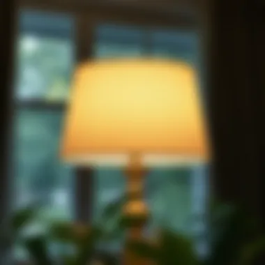 Notable Exploring the Versatility of a 20 Inch Lamp Shade