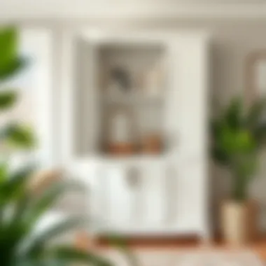 Functional Cabinet Functional cabinet demonstrating adaptability