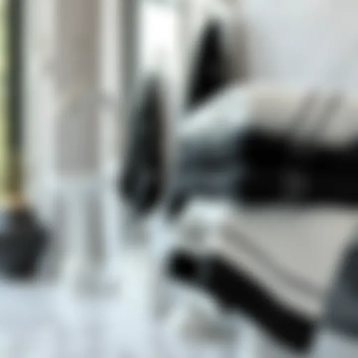 Exploring the Versatility of Black and White Fingertip Towels in Home Decor Summary