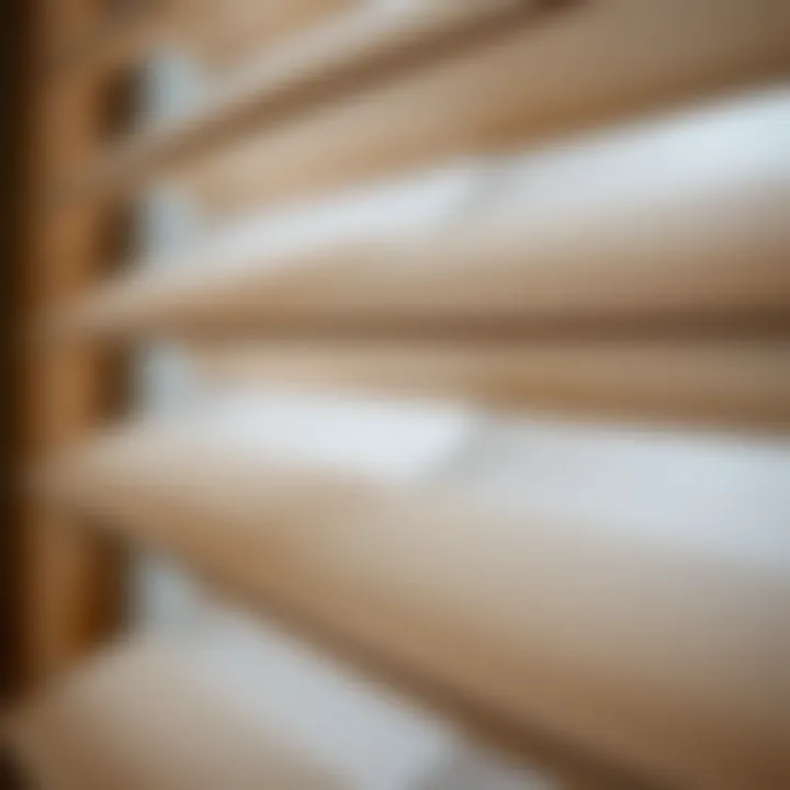 Close-up of Faux Wood Blinds Texture Close-up detail of faux wood blinds showcasing texture and design