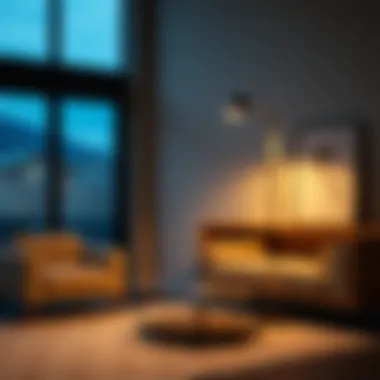 Exploring the Versatility of Floor Lamps with Remote Controls Summary