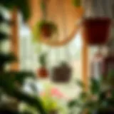 Exploring the Versatility of Mini Hanging Pots Introduction