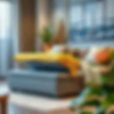 Stylish and Functional Ottoman with Storage Stylish pull out sleeper ottoman with storage features