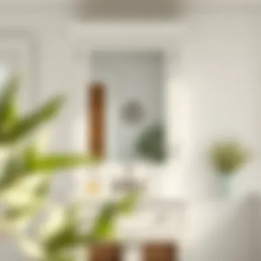 Exploring the White Farmhouse Medicine Cabinet Summary