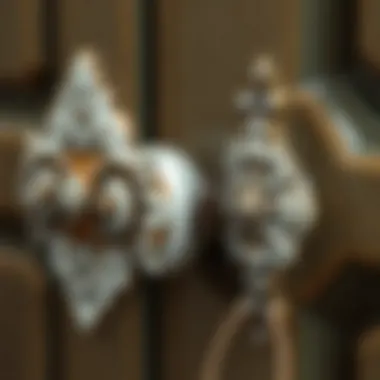 Vintage-Inspired Ceramic Handles Vintage-inspired ceramic cupboard door handles with intricate designs