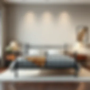 Elegant black metal bed frame complementing modern bedroom decor