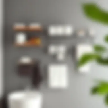 Versatile Wall Racks for Space Optimization Functional wall racks showcasing various styles