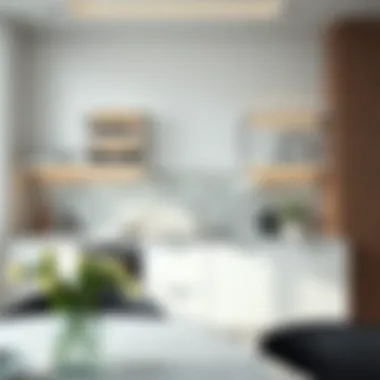 Modern Kitchen with Elegant Shelving Elegant wall mounted shelving in a modern kitchen