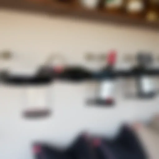 Exploring Wine Holders for Wall Display Introduction