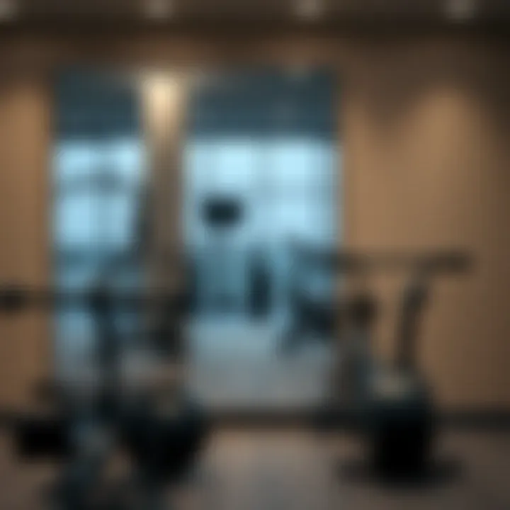 Stylish Full-Length Mirror in Modern Gym Stylish full-length mirror in a home gym, showcasing a modern design that complements workout equipment.