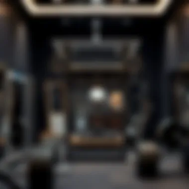 Online Shopping for Large Gym Mirrors An online shopping interface displaying various large mirrors suitable for home gyms.