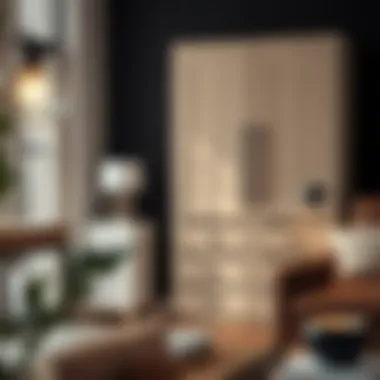 Notable Functional Elegance: Exploring the Cabinet with Two Drawers