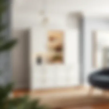 Functional Elegance: Exploring the Cabinet with Two Drawers Summary