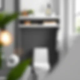 Functional Elegance: White Shelves Over the Toilet Introduction