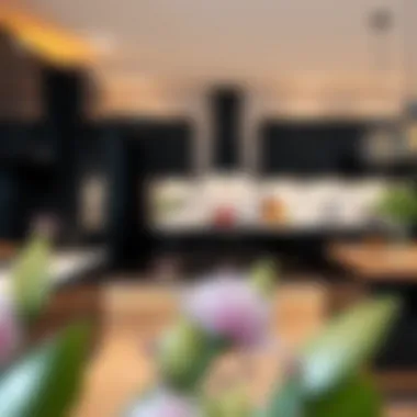 High Gloss Black Kitchen Cabinets: A Comprehensive Exploration Summary