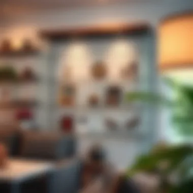 Caring for Glass Shelves Maintenance tips for glass display shelving