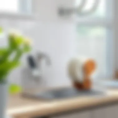 Care and Maintenance for Longevity of Your Rack Care tips for maintaining an in-sink dish rack