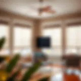 Maximizing Style and Functionality: Budget-Friendly Blinds Solutions Introduction