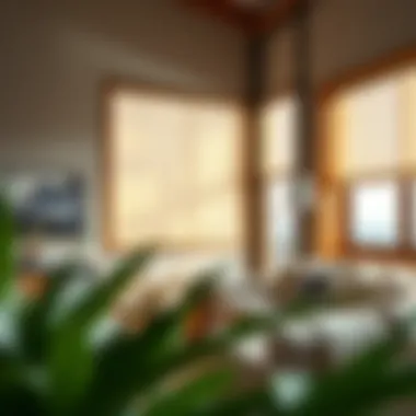 Notable Maximizing Style and Functionality: Budget-Friendly Blinds Solutions Notable Maximizing Style and Functionality: Budget-Friendly Blinds Solutions