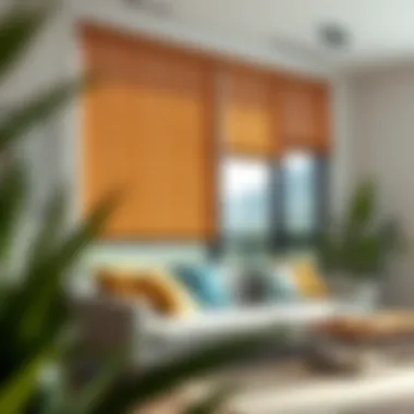 Maximizing Style and Functionality: Budget-Friendly Blinds Solutions Summary Maximizing Style and Functionality: Budget-Friendly Blinds Solutions Summary