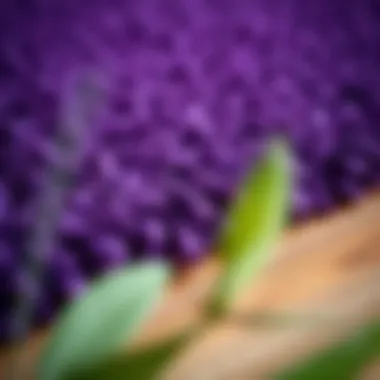 Material Variations in Purple Door Mats Close-up of a textured purple door mat material