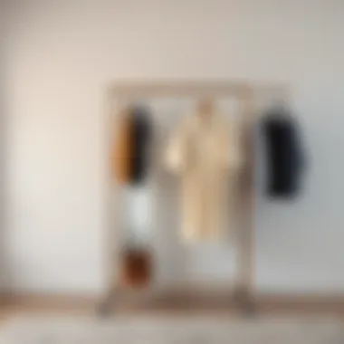 Rolling Clothes Racks: A Comprehensive Guide to Functionality and Design Summary Rolling Clothes Racks: A Comprehensive Guide to Functionality and Design Summary