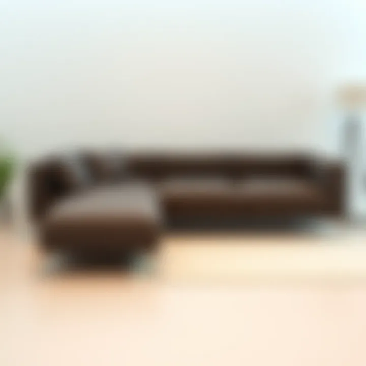 Modern Aesthetic of Contemporary Sleeper Sofas Contemporary sleeper sofa in minimalist design