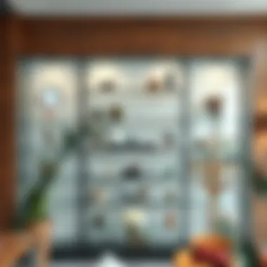 Diverse Display Styles Different styles of glass display shelves for various settings