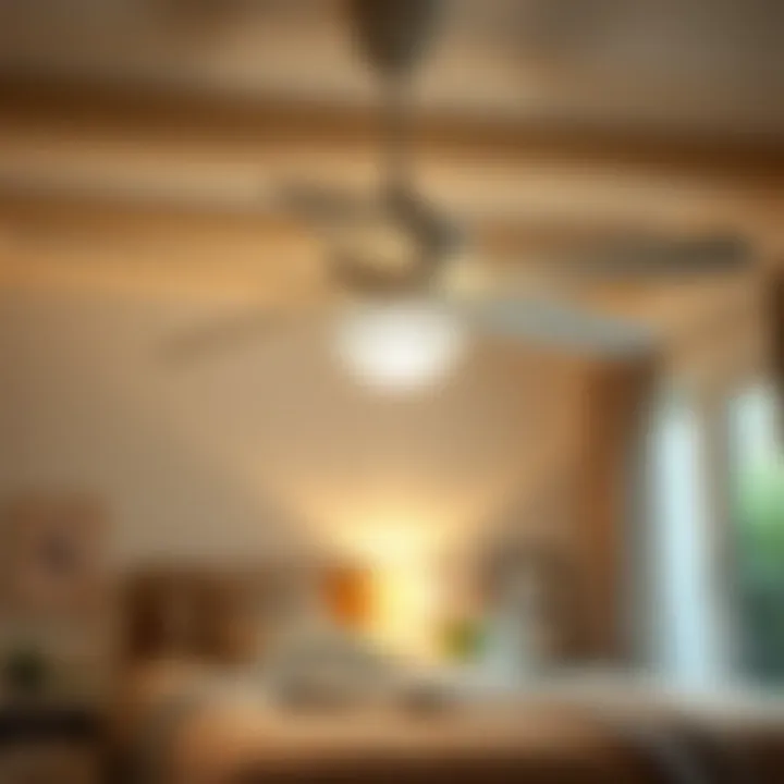 Stylish White Wicker Ceiling Fan in a Cozy Bedroom Stylish white wicker ceiling fan illuminating a cozy bedroom