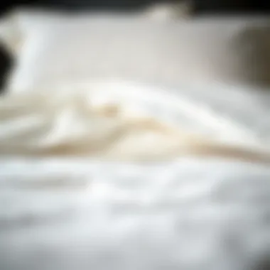 Understanding Fabric Quality Close-up of high-quality fabric used in super deep pocket king size sheets