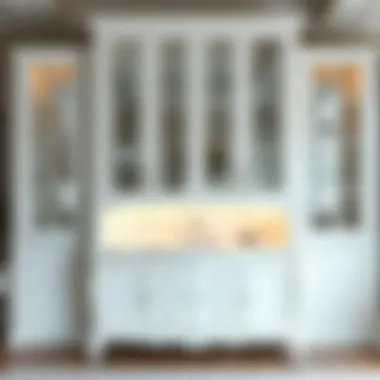 The Aesthetic and Functional Appeal of White Mirrored Cabinets Introduction The Aesthetic and Functional Appeal of White Mirrored Cabinets Introduction