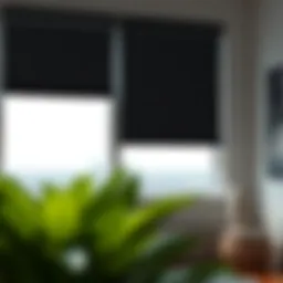 The Aesthetic and Functional Aspects of Window Black Blinds Introduction