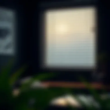 The Aesthetic and Functional Aspects of Window Black Blinds Summary The Aesthetic and Functional Aspects of Window Black Blinds Summary