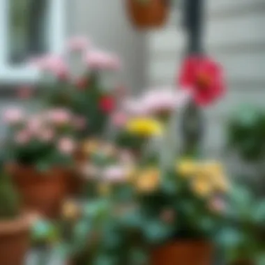 The Aesthetics and Practicality of Fake Outdoor Flowers in Pots Summary The Aesthetics and Practicality of Fake Outdoor Flowers in Pots Summary