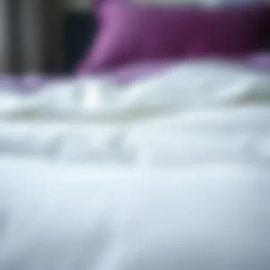 Comforter Fabric Texture Close-up of fabric texture for comforters