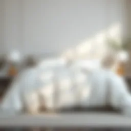 Elegant white comforter on a minimalist bed
