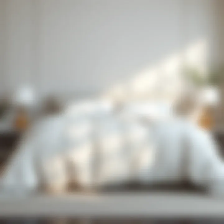 Elegant White Comforter Elegant white comforter on a minimalist bed