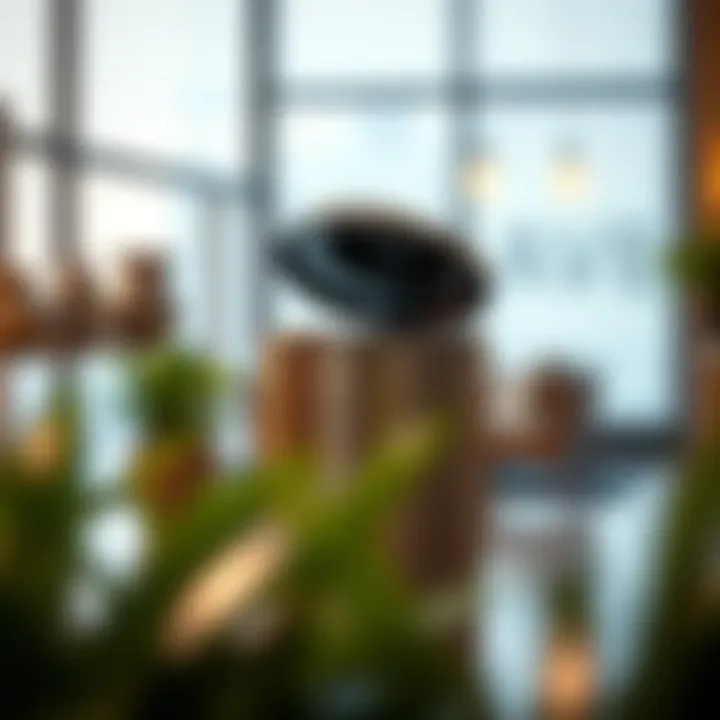 Sustainable Options for Slim Trash Can Lids Sustainable slim trash can lid options