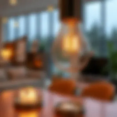 The Comprehensive Guide to Remote Bulbs Summary The Comprehensive Guide to Remote Bulbs Summary