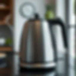 Elegant stainless steel kettle with modern design