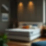 The Comprehensive Guide to the Haugesund Mattress Introduction