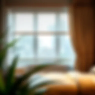 Eco-Friendly Window Treatment Options Eco-friendly window treatment options highlighting sustainability