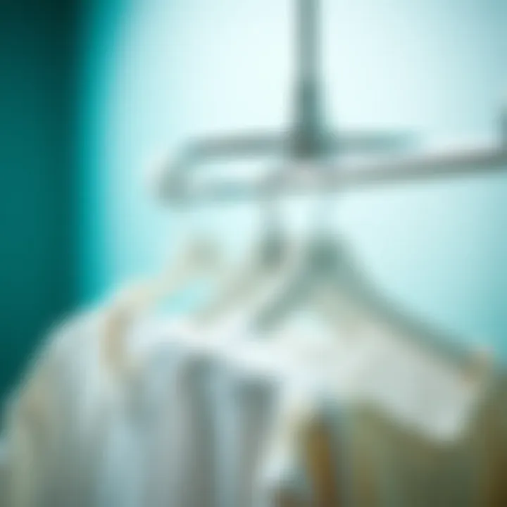 Notable The Evolving Landscape of Rotating Clothes Hangers: Functionality Meets Design