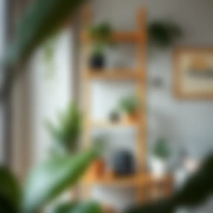 Bamboo shelving unit with indoor plants