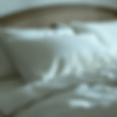Notable The Impact of Sleep Grand Pillows on Sleep Quality