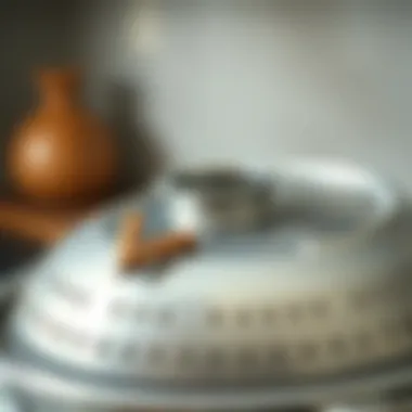 Efficiency of Colander Lid Close-up of colander lid enhancing efficiency