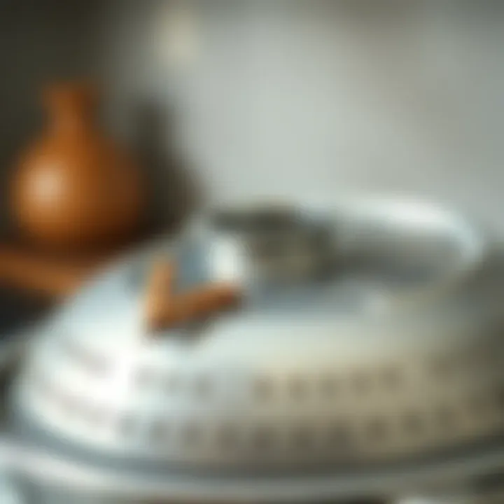 Efficiency of Colander Lid Close-up of colander lid enhancing efficiency