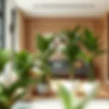 The Role of Tall Potted Plants in Modern Interior Design Introduction